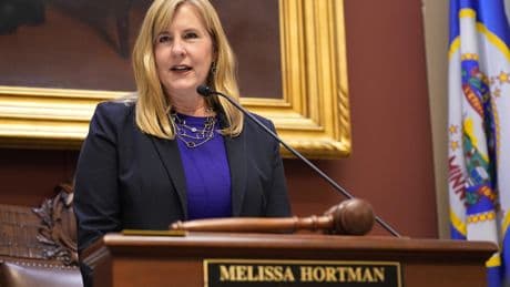 Minnesota state lawmaker killed, another wounded in targeted shootings