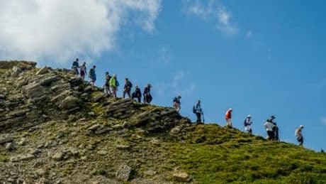 Massentourismus in den Dolomiten: Almbesitzer installieren symbolisches Drehkreuz auf Berg Sedeca