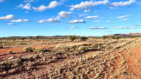 Polizei geht Hinweisen nach: Deutsche Backpackerin aus NRW seit zehn Tagen in Australien vermisst