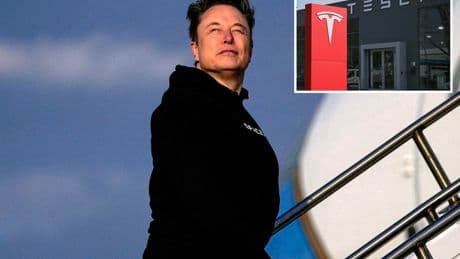 Tesla, Elon Musk deny report firm is looking for new CEO: ‘Deliberately false article’