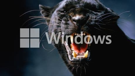Windows: Panther-Ordner – was steckt dahinter?