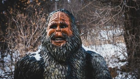 Faux yéti, sang d'ours et rite occulte: un séminaire catholique américain secoué par une étrange affaire