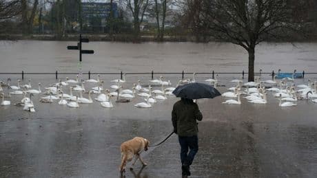 Thunderstorm warning as Met Office forecast heavy rain to batter Britain
