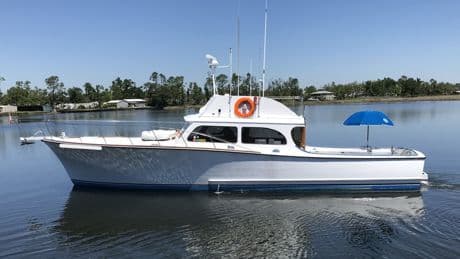 Florida fisherman sentenced to prison for shooting, poisoning dolphins