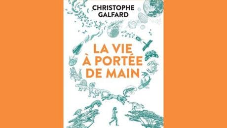 « La Vie à portée de main » : un voyage au cœur du vivant, depuis ses origines