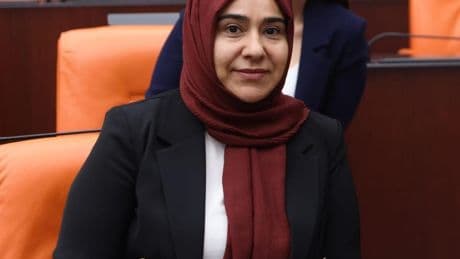 DEM Partili Varli: Van’da çiftçiye ot toplama yasağı kabul edilemez