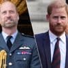 Prins William populairder in de VS dan prins Harry, maar Kate doet het plots minder goed