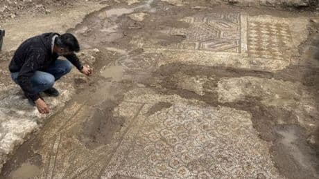 Mezar kazısından tarih çıktı