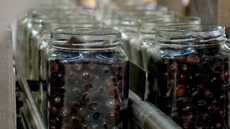 Sabah sofralarının vazgeçilmeziydi: Türkiye'nin ünlü zeytin firması iflasın eşiğinde! Mahkeme 3 ay süre tanıdı