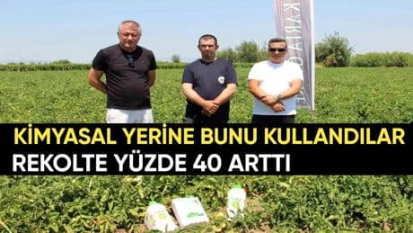 Kimyasal yerine bunları kullandı! Hem verimini arttırdı hem hastalıklardan kurtuldu: Rekolte yüzde 40 arttı