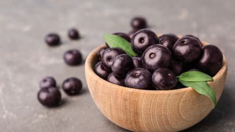 Açaí prices set to rise as US imposes 50% tariff on imports