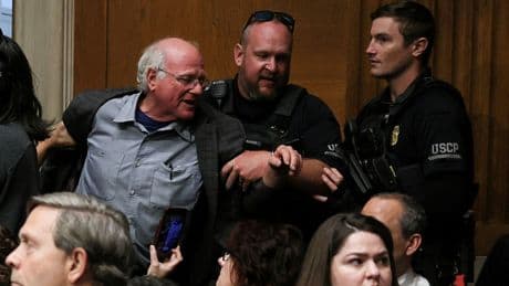 Ben & Jerry's co-founder arrested after US Capitol Gaza protest