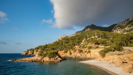 British tourist found in Mallorca resort swimming pool dies
