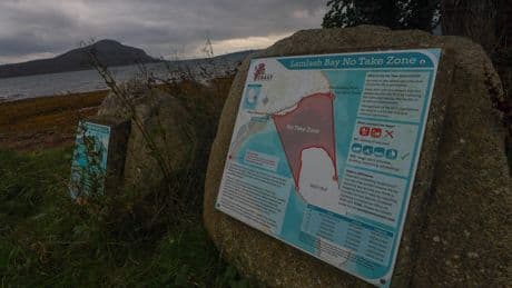 David Attenborough film celebrates seabed conservation off Arran