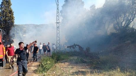 Öz Orman-İş Genel Başkanı Settar Aslan, ‘15-20 güne kadar bitmezse biz de grev kararı almak durumundayız’