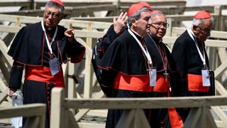 Este es el sueldo base de un cardenal y los otros beneficios que perciben cada mes