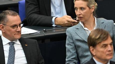 En Allemagne, le service de renseignement intérieur classe l’AfD comme un parti « extrémiste de droite confirmé »