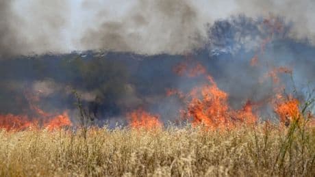 El incendio en el sur de Francia continúa activo, aunque su avance es lento