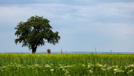 Wetterumschwung: Auf Frühsommer folgt "Frühdusche"