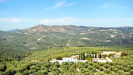 Hay un nuevo e insospechado inversor en el campo andaluz: PepsiCo