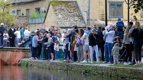 Family shocked by behaviour leave country village after 30 minutes