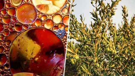 Las ventas de aceite de oliva virgen extra han crecido más de un 60%: así vamos a convertir el boom del AOVE en un problema