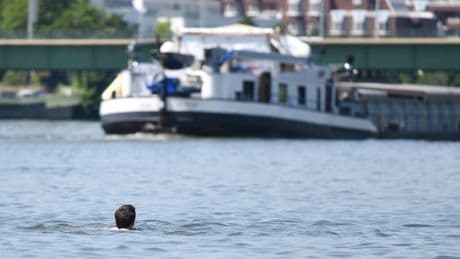 Hälfte des Neckar-Wassers kommt im Sommer aus Kläranlagen
