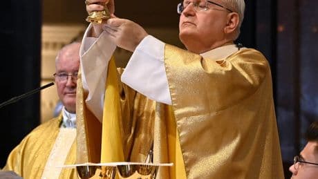 In the Battle for Next Pope, Cardinal Erdö Emerges as a Conservative Favorite