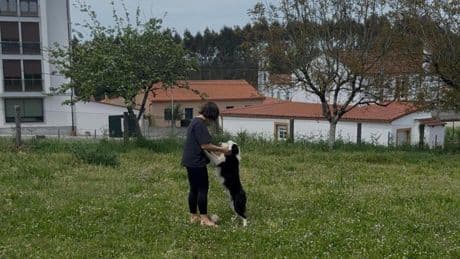 Así se vivió el apagón general del lunes en el rural de Galicia: "Hicimos vida de pueblo"