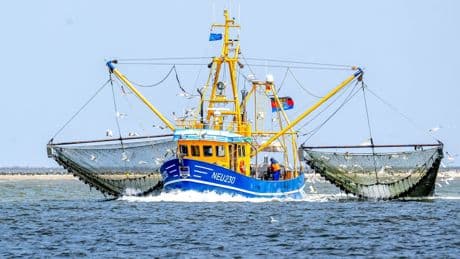 Fischerei: EU-Gericht nickt Fangverbote in der Nordsee ab