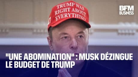"Une abomination" : Musk dézingue le budget de Trump
