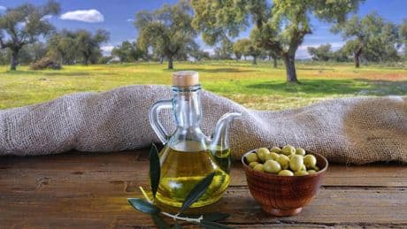 La ruta del aceite de Jaén, un viaje entre olivos de Úbeda a Cambil