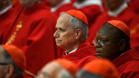 Prevost, salgono le quotazioni del cardinale americano apprezzato da Trump e sostenuto dal kingmaker connazionale Dolan: chi è il papabile nato a Chicago