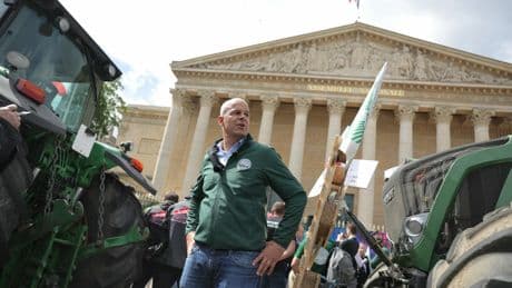 «Sans néonicotinoïdes, je vais devoir arrêter la production de tomates» : l’inquiétude des agriculteurs après la censure du Conseil constitutionnel