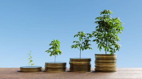 Efficient Asset Allocation For Growth And Stability