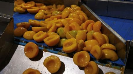 Trump tariffs hit peaches as Greece fears dent in demand
