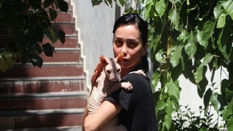 Kaybolan kediyi buldu 2 bin doları cebine koydu! Parası gitse de mutluluğu yüzünden okundu