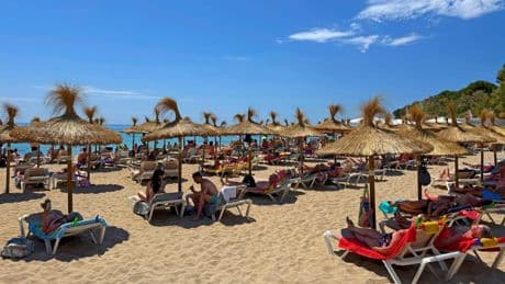 Mallorca: Preise gestiegen – so tief müssen Touristen in Tasche greifen
