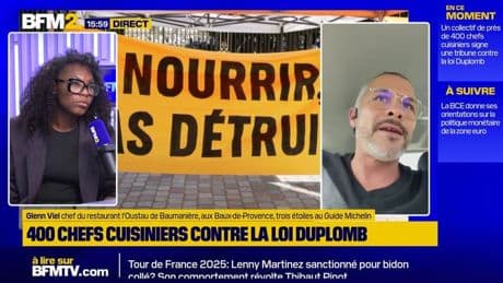 Loi Duplomb: "c'est grave de revenir en arrière comme ça" déplore Glenn Viel, chef triplement étoilé
