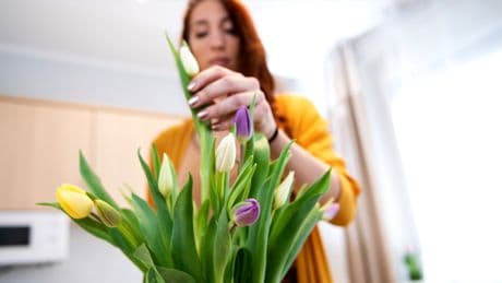 Wie Sie Schnittblumen bis zu 2 Wochen frisch halten – mit einem simplen Haushaltskniff
