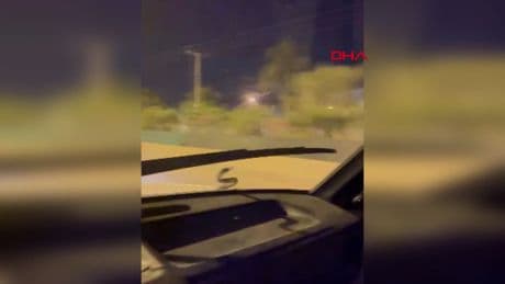 Otomobile giren yılan, seyir halinde ön cama çıktı