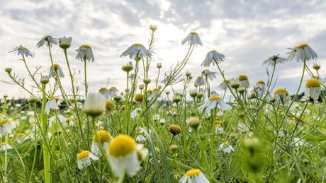 Sommerliches Wochenende - Hitzewelle mit 30 Grad rollt an