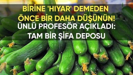 "Birine 'hıyar' demeden önce bir daha düşünün!" Ünlü Profesör açıkladı: O sadece bir sebze değil, tam bir şifa deposu!