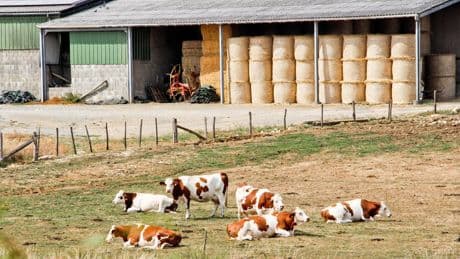 Quatre chiffres clés sur l'agriculture française
