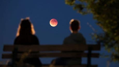 Blutmond: Beobachter in Deutschland staunen über seltenes Spektakel