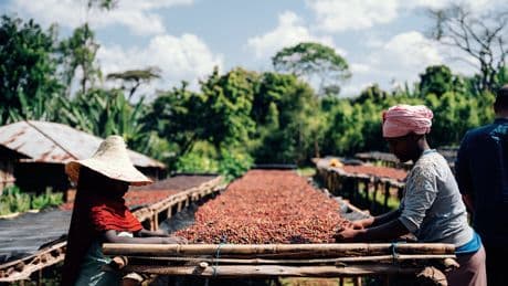 Los precios del café y el cacao se enfrían pero el mercado advierte del déficit de oferta