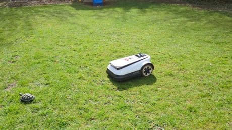 Mähroboter ohne Begrenzungskabel im Test: Die smarte Freiheit im Garten