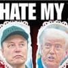 Elon Musk et Donald Trump sortent-ils perdants de leur rupture ?