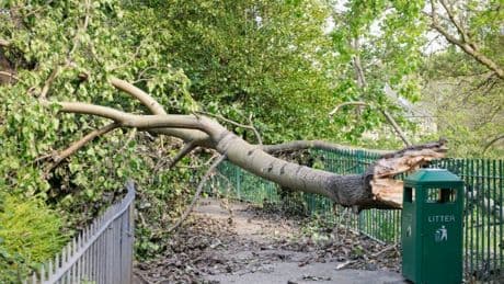 Storm Floris weather warning upgraded to amber ahead of 80mph winds
