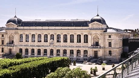 Une cyberattaque cible le Muséum national d'Histoire naturelle, la recherche française affectée